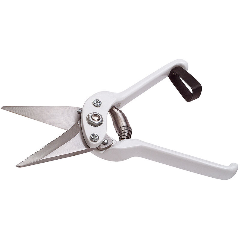 Kamer - Cisaille onglon mouton blanche lames crantées