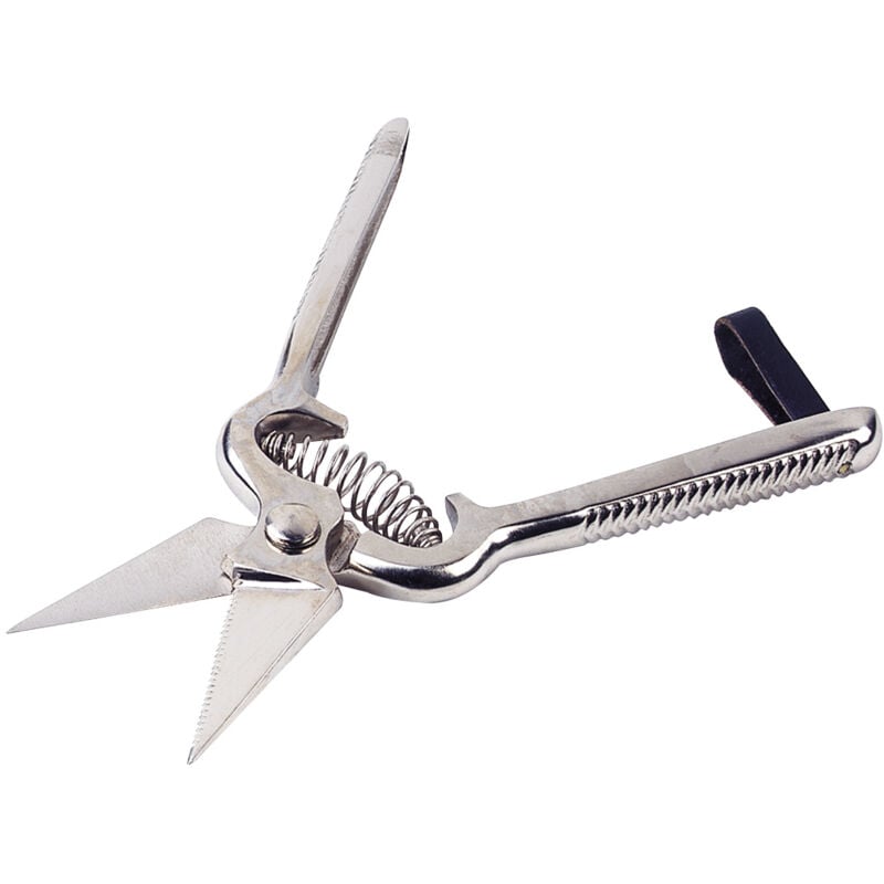 Kamer - Cisaille onglon pour mouton acier lames courtes crantées