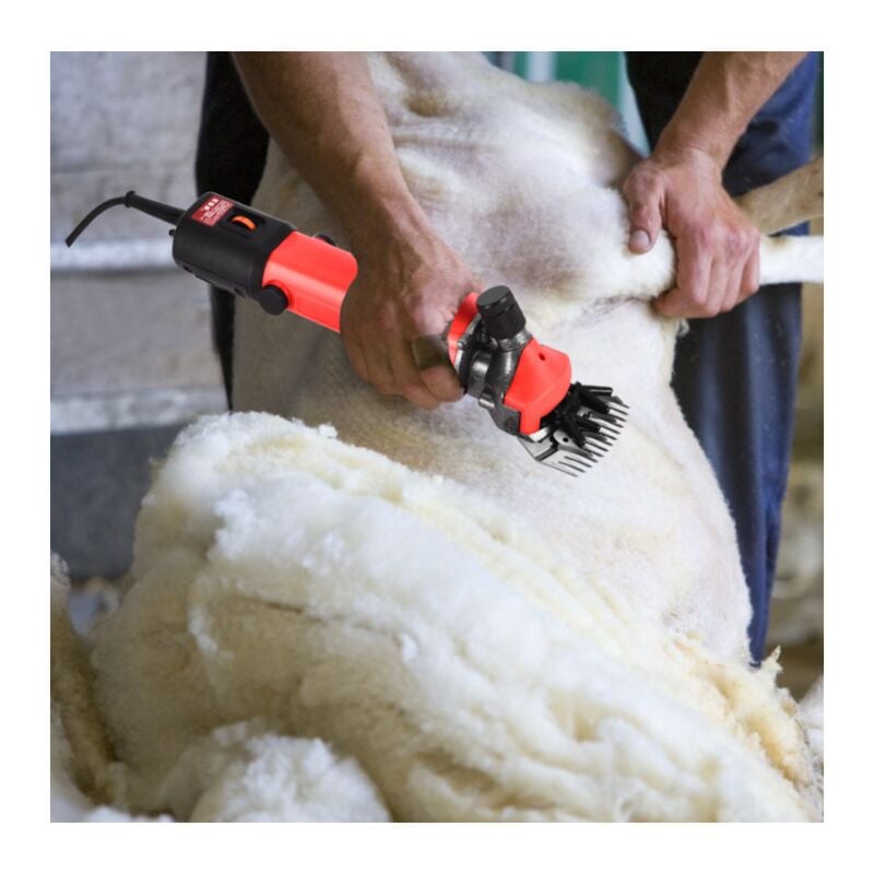 Ikodm - Cisailles à moutons électriques 690 w, tondeuse à moutons portable avec 6 vitesses, cisailles à chèvres électriques pour moutons, chèvres,