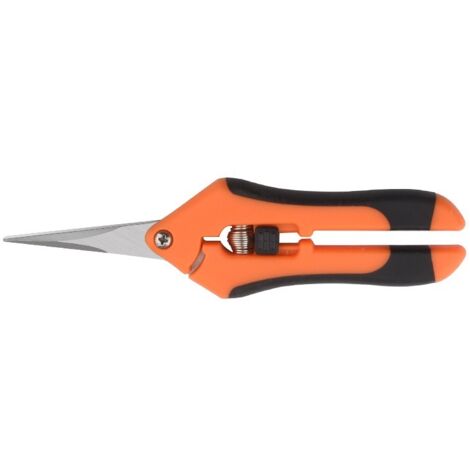 Cisailles de jardin, ciseaux professionnels pour la maison, cisailles à branches, cisailles de jardin manuelles en acier inoxydable (vertes)