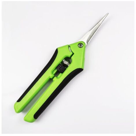 Cisailles de jardin manuelles professionnelles en acier inoxydable
