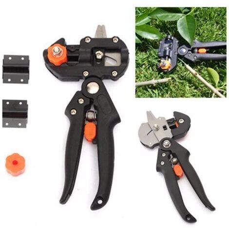 Ciseau jardin outil à greffer greffage arbre fruitier avec 2 lame