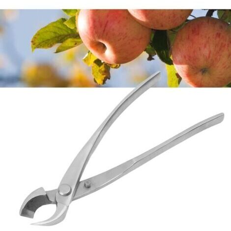 Ciseaux à bonsaï, sécateurs, sécateurs de jardinage, outils à bonsaï, acier inoxydable, (21 cm)