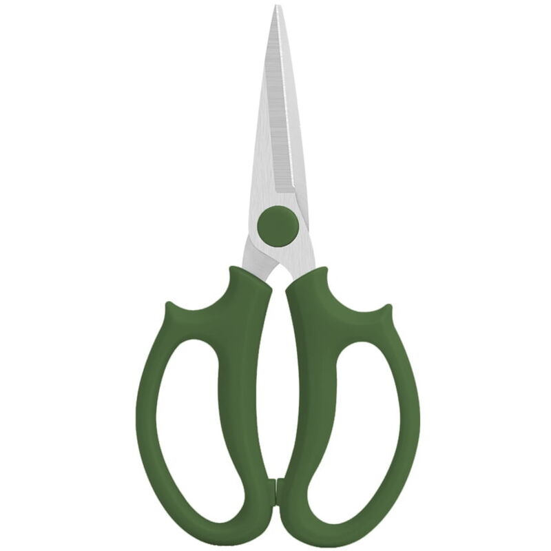 Ciseaux à fleurs de jardin, sécateurs floraux en acier inoxydable, sécateur robuste pour fleurs et branches