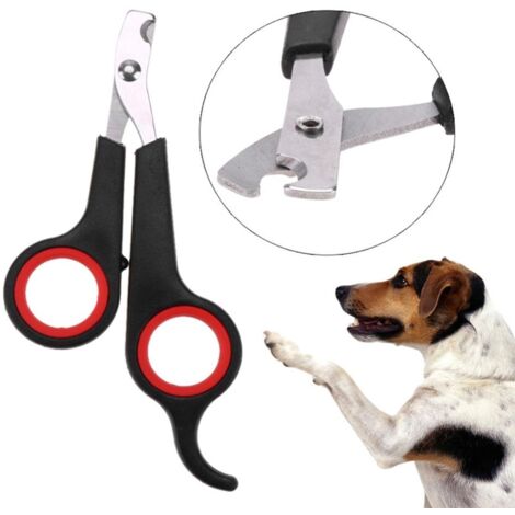 Ciseaux à griffes pour chien et chat