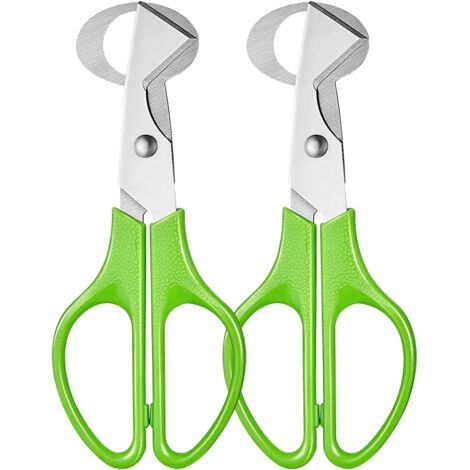 Ciseaux à Oeufs de Caille, Ciseaux à Œufs en Acier Inoxydable, Coupe-Coquille d'Oeuf, Oeuf Shell Cutter pour Couper les Œufs de Caille, Ouvre-Coquille d'Oeuf pour Maison, Cuisine, 2 Pièces