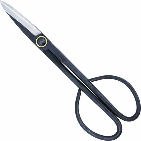 Ciseaux Bonsai - Secateur Bonsai - Taille Bonsaï - Acier au Carbone - 205 mm - Outils Bonsai
