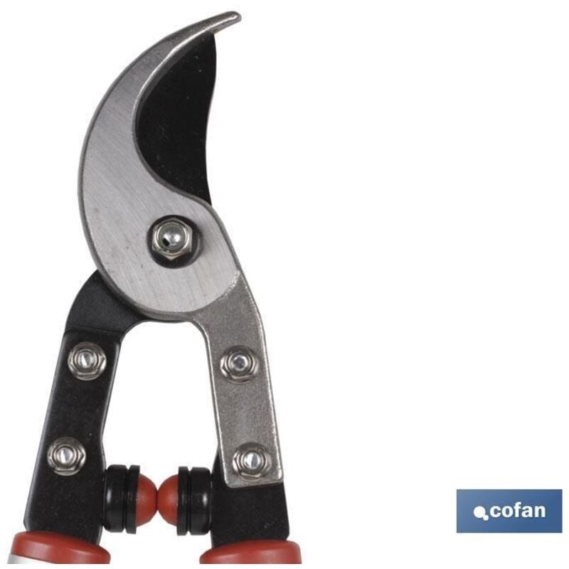 Ciseaux de taille à tête complète 9001 3115