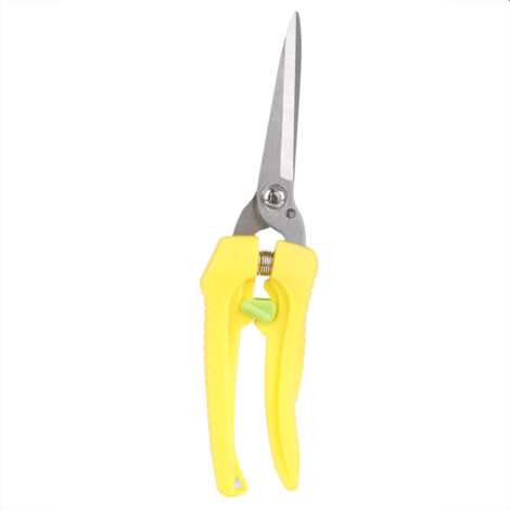 Ciseaux de Jardin 205mm pour Taille Bonsai, Fleurs et Arbres Fruitiers