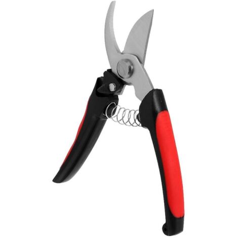 Ciseaux de jardin en acier inoxydable, outil de taille pour arbres fruitiers et jardins-AquaForge