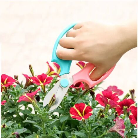 Ciseaux de jardin floraux en acier inoxydable