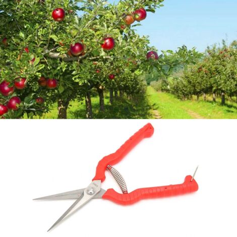 Ciseaux de Jardin pour Récolte de Fruits et Légumes, Idéal pour Citrus, Facile à Utiliser, Confortable et Durable - KZQ