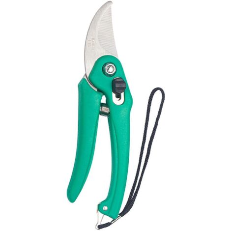 Ciseaux de jardin, sécateur, outil de taille pour plantes et fleurs, acier inoxydable vert-AquaForge