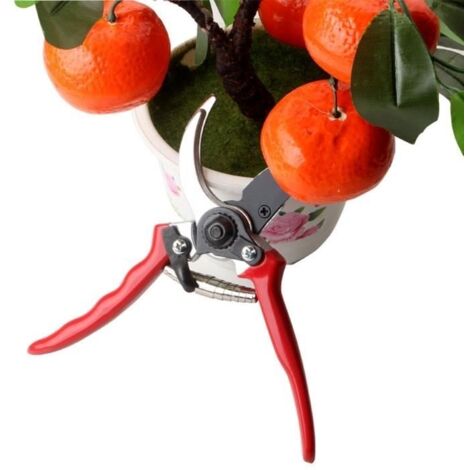 Ciseaux de jardin, sécateurs, outils de greffage, ciseaux, outils de jardin-AquaForge