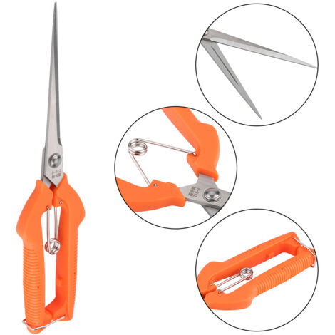 Ciseaux de Jardinage 250mm pour Récolte de Fruits et Taille de Plantes - Outil de Jardin Idéal pour Bonsaïs et Fleurs-KZQ