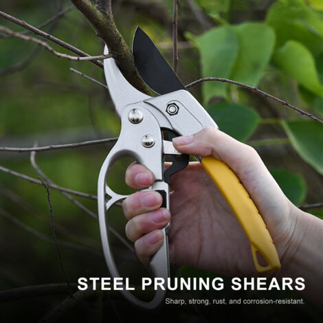 Ciseaux de Jardinage en Argent pour Taille des Arbres Fruitiers et Outils de Jardin - KZQ