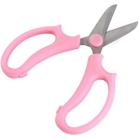 Ciseaux de Jardinage et de Floriculture à Large Bec - 10 Pièces, Acier Inoxydable Tranchant pour Tailler les Branches et Couper les Fleurs, Rose - KZQ