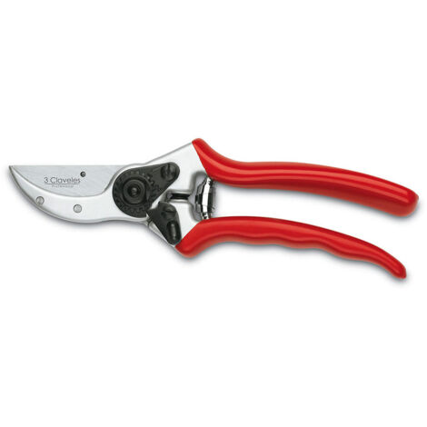 Ciseaux De Taille 21,5 Cm