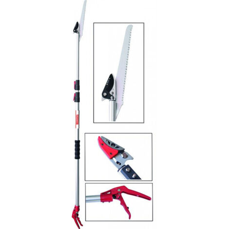 Ciseaux de taille Sandri, sg-ft3 télescopiques, 1