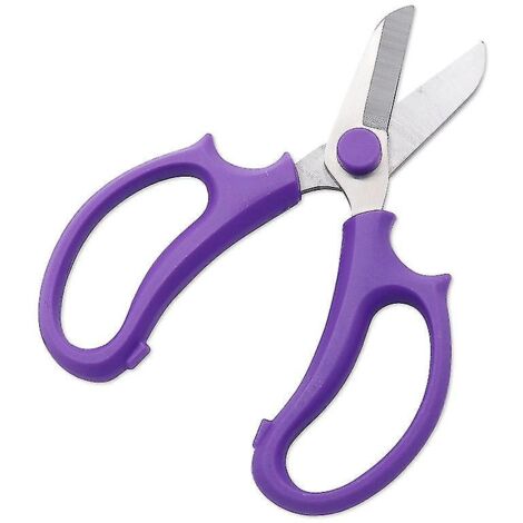 Ciseaux floraux, sécateur de jardin en acier de qualité supérieure, coupe-fruits pour compositions florales et taille de plantes - Violet FCL-AquaForge