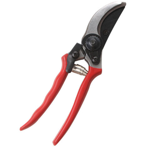 Ciseaux horticoles inox lame SK5 acier, pro pour arbres fruitiers et branches épaisses, coupe franche et durable