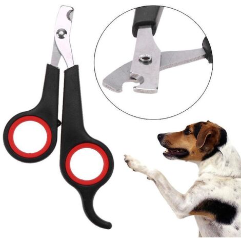 ciseaux  Ongles Soins Des Griffes Toilettage Pour Chien Chat Lapin S