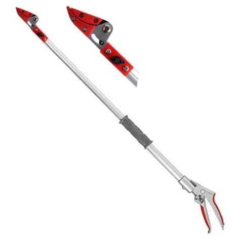 Ciseaux pour branches de fruits Fixe 35082 Ausonia
