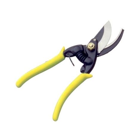 Ciseaux Taille H.Recamb.751-20cm