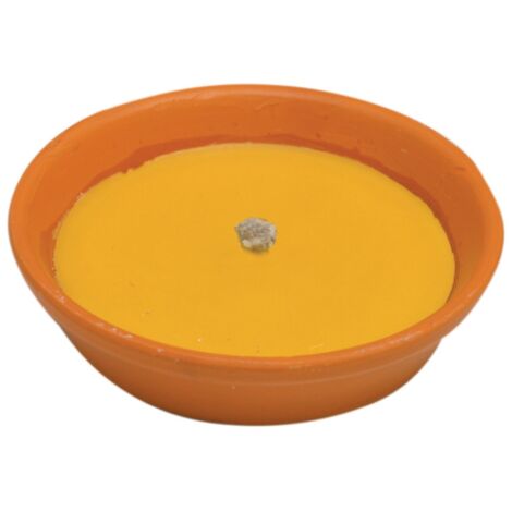 CITRONELLA IN COCCIO ANTIVENTO CM.11. Prezzo per 1 pezzo.