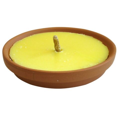 CITRONELLA IN PADELLA DI TERRACOTTA MADE INTALY  Ø cm. 11 IDROWEB