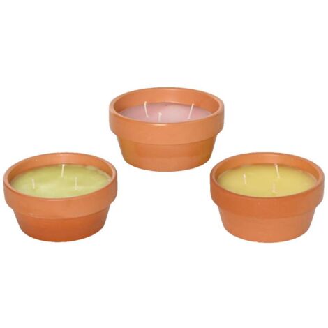 Citronella in vasetto di terracotta