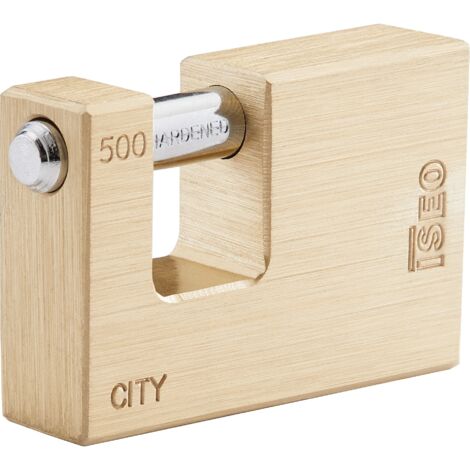 CITY BY ISEO LUCCHETTO SERRANDA MM.50 ISEO SERRATURE PZ 6,0