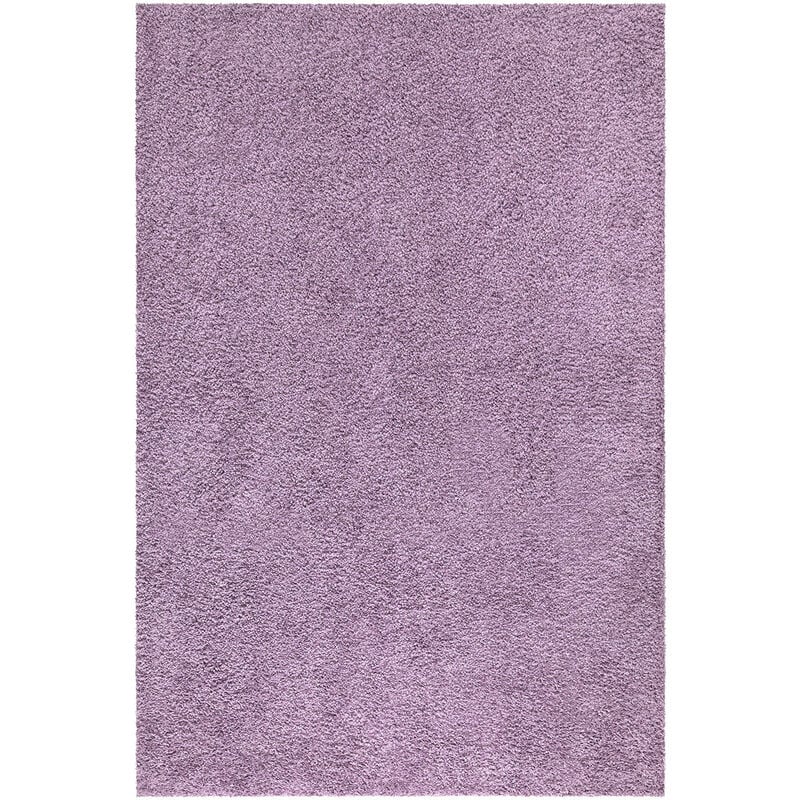 City - Tapis à Poils Longs doux softy, Tapis de Salon, Chambre, Couloir (Violet de Parme - 60x110cm)