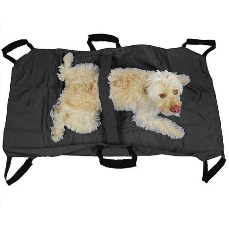 Civière de transport vétérinaire pour animaux (chiens et chats)