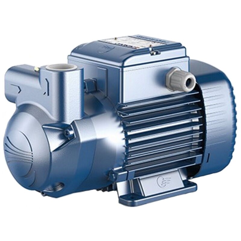 Pedrollo - ck 50 bp Pompe de surface auto-amorçante a anneau liquide 0,25kW 0,33HP