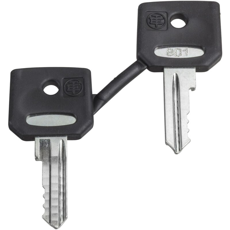 Schneider Electric - Harmony clé pour serrure 455 jeu de 2 dont une avec capuchon schneider ZBG455P