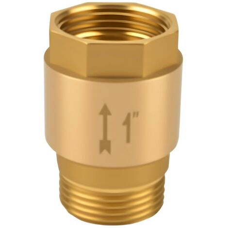 Clapet Anti-retour 1", Clapet Anti-retour Des Eaux Usées en Laiton, Inoxydable et étanche 1 pouce AG vers IG, pour Pompe à Eau, Pompes de Jardin, Machines à Laver,OUYLAF