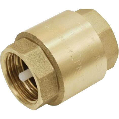 Clapet Anti-retour à Boule Fileté 2"1/2 (DN65) - Pour Eau, Pression 16 Bar, Température -20°C à +120°C