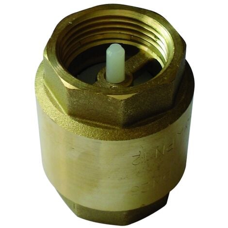 PUTEUS Clapet anti retour 26x34