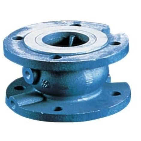 Clapet anti-retour à brides type 402 DN50