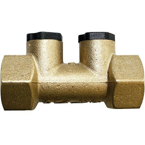 Clapet anti retour BB Watts 1/2" , FxF