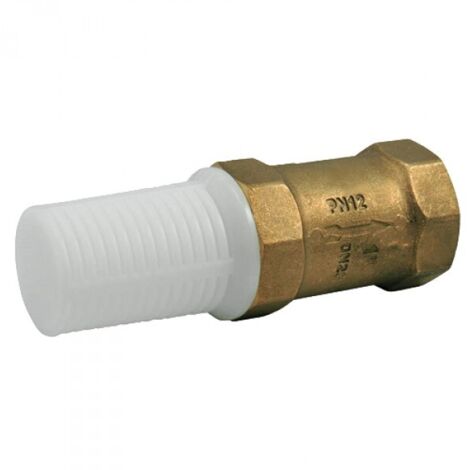 Clapet anti-retour - Clapet crépine BLOCK - 3/4'' de Codital