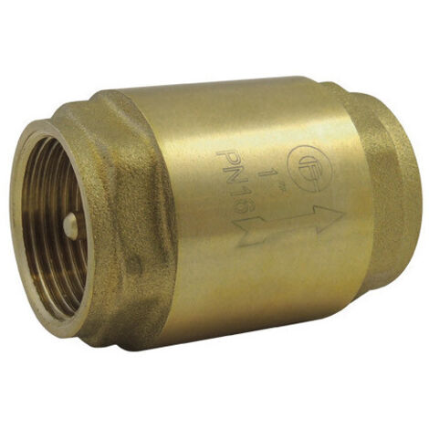 Clapet Anti Retour Disque Laiton 1''1/4 - Rain Irrigation