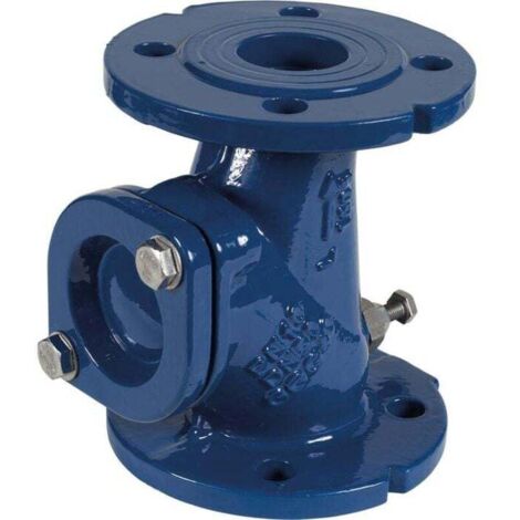 Clapet anti-retour DN 80 fonte pour SANIPUMP VX80 - Sfa