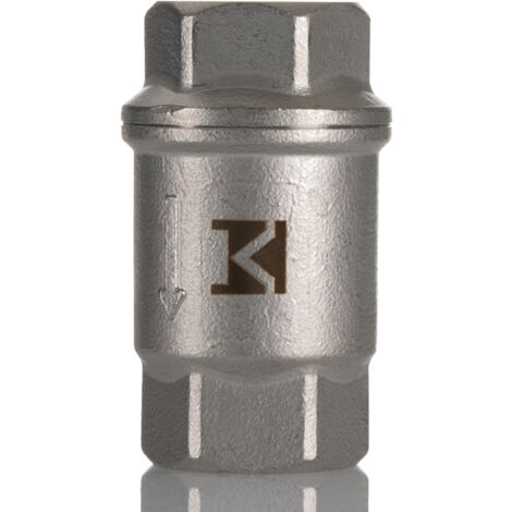 Clapet anti-retour en Acier inoxydable RS PRO, 1/2pouce, 63 bar ( Prix pour 1 )
