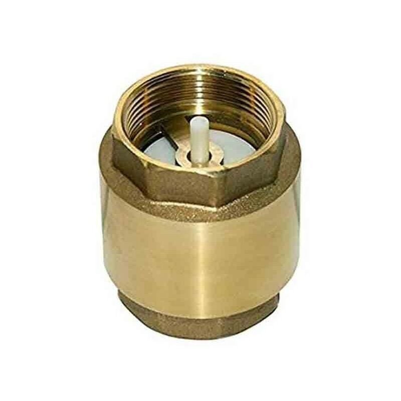 Clapet anti-retour à battant laiton 1 1/4''. Empêche le flux d'eau de retourner dans les tuyaux d'irrigation.
