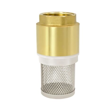 Clapet anti-retour en laiton de 1 pouce avec maille, pour pompes à eau et systèmes de filtration.