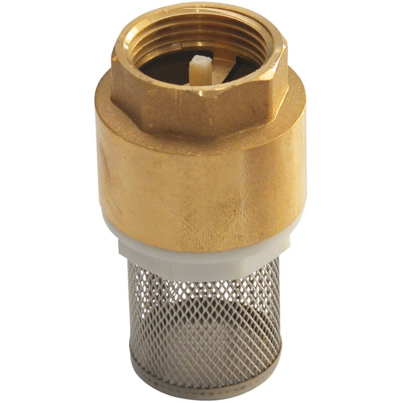 Clapet anti-retour en laiton titré à crépine inox 1"1/4 (33/42) - Sferaco