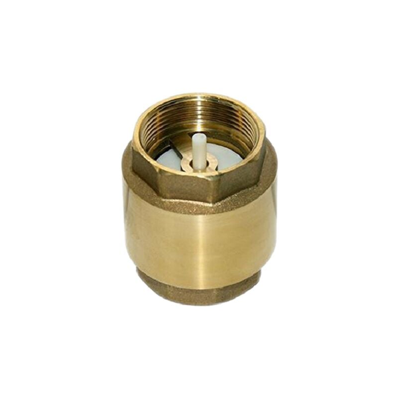 Clapet anti-retour fileté en laiton de 2', diamètre 63 mm, pour le contrôle de l'eau. Offre exclusive