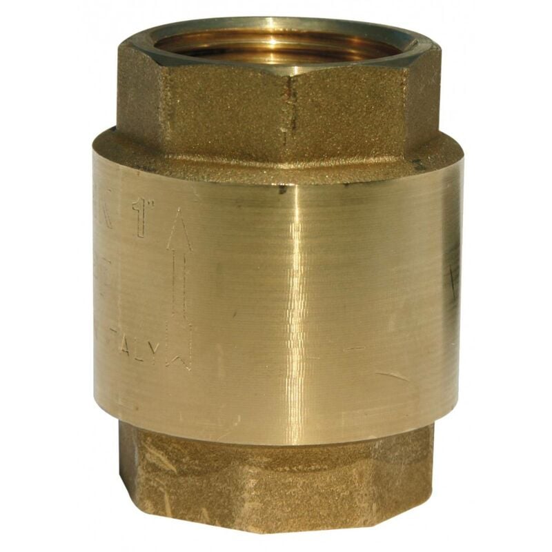 Clapet Anti-Retour Laiton Ff 1''1/2 Renson